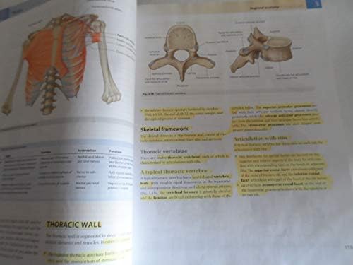 Gray's Anatomy for Students: with STUDENT CONSULT Online Access by Richard L. Drake PhD