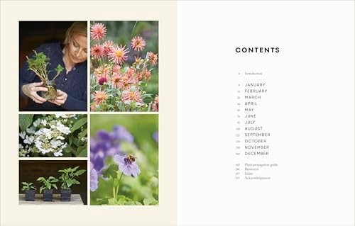 The Money-Saving Garden Year: A Month-by-month Guide to a Great Garden that Costs Less by Anya Lautenbach