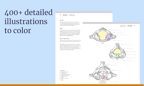 Anatomy Coloring Book with 450+ Realistic Medical Illustrations with Quizzes for Each (Kaplan Test Prep) by Stephanie McCann