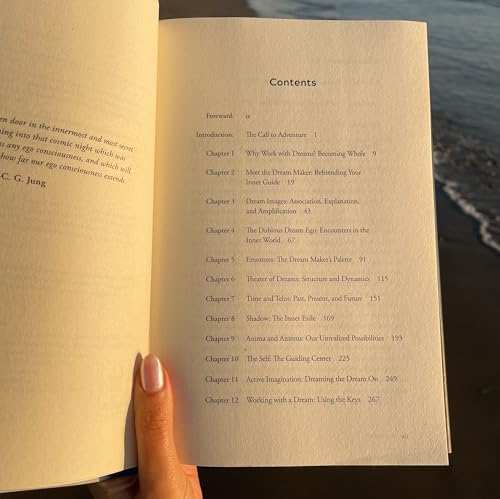 Dream Wise: Unlocking the Meaning of Your Dreams by Lisa Marchiano LCSW