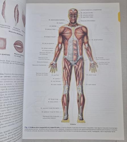 CLINICAL ORIENTED ANATOMY (MOORE) - 5th Ed. by Keith L. Moore