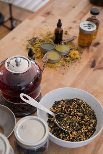 The Homesteader's Guide to Natural Wellness: Herbal Medicine and Essential Oils for Your Home Apothecary by Heidi Villegas