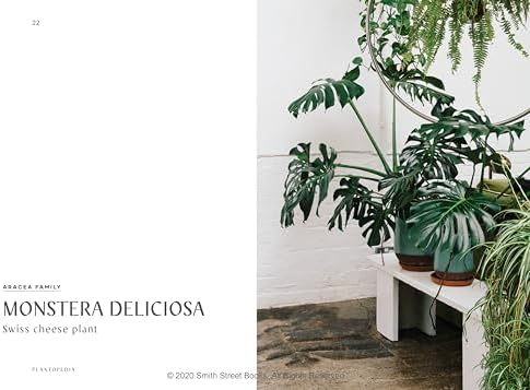 Plantopedia: The Definitive Guide to Houseplants by Lauren Camilleri