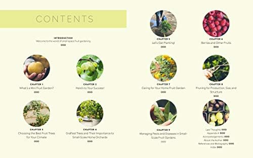 Grow Your Own Mini Fruit Garden: Planting and Tending Small Fruit Trees and Berries in Gardens and Containers by Christy Wilhelmi