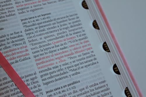 Biblia RVR 1960 letra grande tamaño manual, Piel rosada con índice / Spanish Bible RVR 1960 Handy Size Large Print Leathersoft pink with index (Spanish Edition) by Reina Valera Revisada 1960