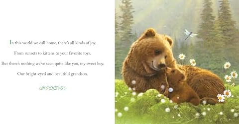 Why We Need Grandsons: Celebrate Your Special Grandson Grandparent Bond with This Heartwarming Picture Book! (Always in My Heart) by Gregory E. Lang