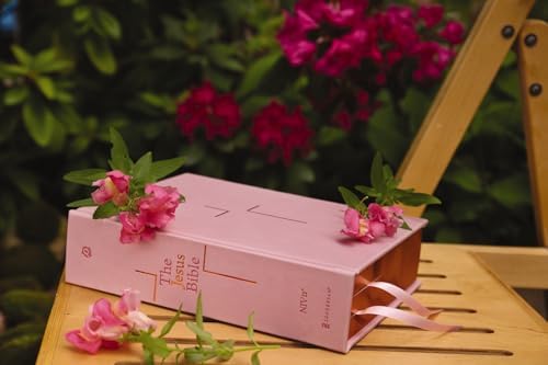The Jesus Bible, NIV Edition, Leathersoft over Board, Pink, Comfort Print: Sixty-Six Books. One Story. All About One Name. by Zondervan