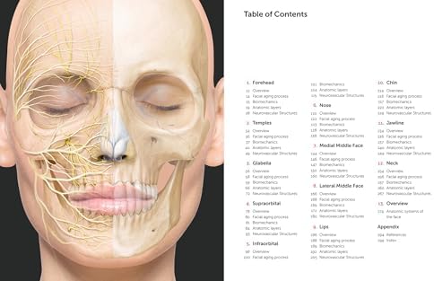 Facial Anatomy: Layer by Layer by Sebastian Cotofana