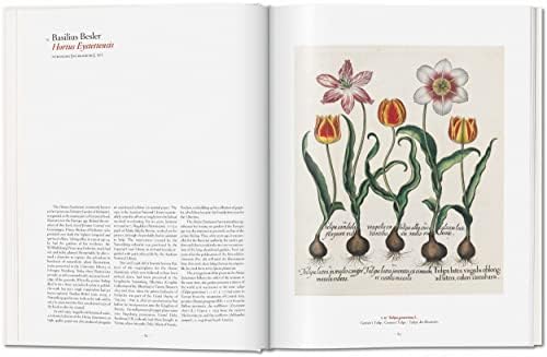 A Garden Eden: Masterpieces of Botanical Illustration (Fantastic Price) (Multilingual Edition) by H. Walter Lack