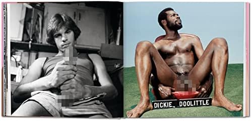 The Big Penis Book by Dian Hanson