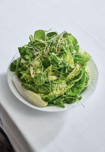 Via Carota: A Celebration of Seasonal Cooking from the Beloved Greenwich Village Restaurant:An Italian Cookbook by Jody Williams