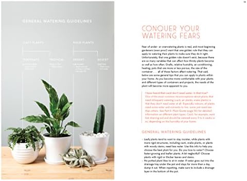 The Inspired Houseplant: A Beginner's Guide to Modern Indoor Gardening by Jen Stearns