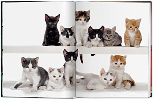 Walter Chandoha. Cats. Photographs 1942–2018 (Photography Book) (Multilingual Edition) by Susan Michals