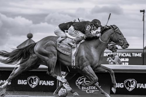 Cody's Wish by Paul Halloran