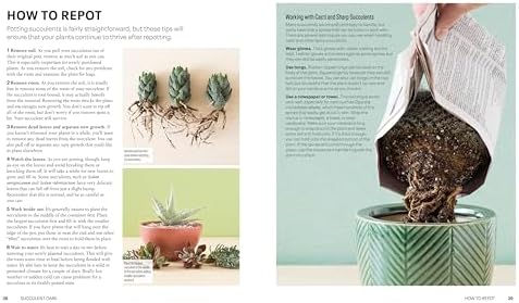 Succulents: Everything You Need to Select, Pair and Care for Succulents (Green Thumb Guides) by Cassidy Tuttle
