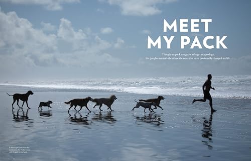 Saved by the Pack: How 50 Dogs Helped Me Find My Purpose by Lee Asher