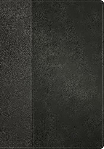 NLT Personal Size Giant Print Bible, Filament Enabled (LeatherLike, Black/Onyx, Red Letter): Includes Free Access to the Filament Bible App Delivering ... Notes, Devotionals, Worship Music, and Video by New Living Translation