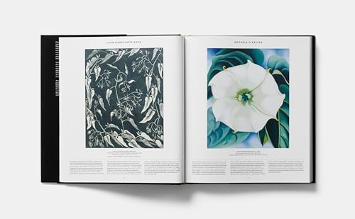 Plant: Exploring the Botanical World by Phaidon Editors