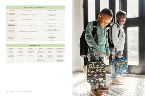 Feeding Tiny Bellies: School Lunches: Over 100 Lunch Boxes and Snacks for Kids by Lily Payen