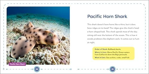 My First Book of Sharks: All About the Largest Fish in the Sea for Kids by Buzz Bishop