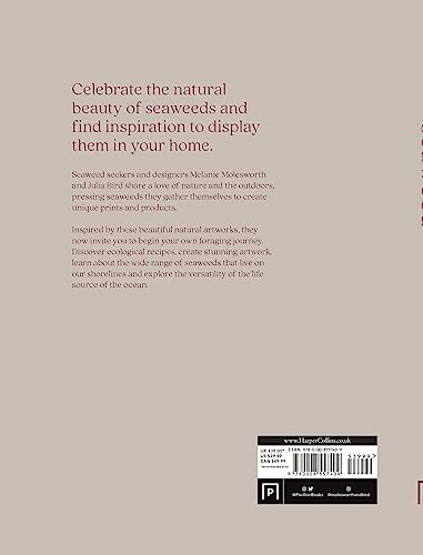 Seaweed: The sustainable guide to our oceans, with crafts, foraging, collecting and pressing by Melanie Molesworth