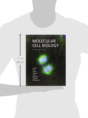 Molecular Cell Biology by Harvey Lodish