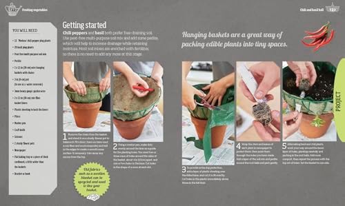 Indoor Edible Garden: Creative Ways to Grow Herbs, Fruits, and Vegetables in Your Home by Zia Allaway