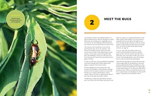 The Vegetable Garden Pest Handbook: Identify and Solve Common Pest Problems on Edible Plants - All Natural Solutions! by Susan Mulvihill