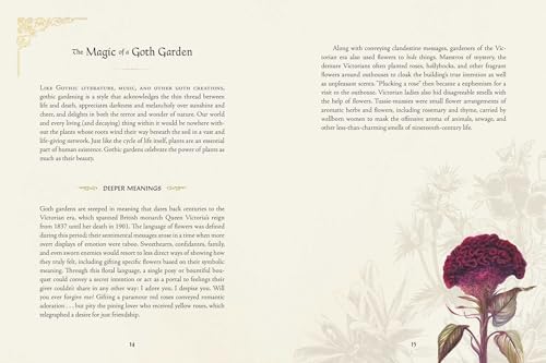 The Goth Garden: The Mystery, Beauty, and Lore of Dark Gardening by Felicia Feaster