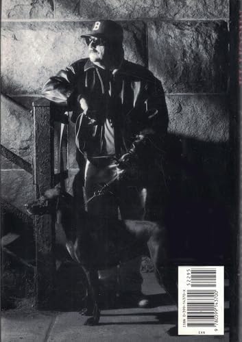 Sudden Mischief: a Spenser Novel by Robert B. Parker