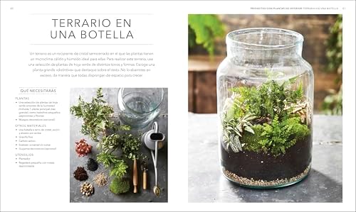 Plantas de interior (Houseplant) (Spanish Edition) by DK