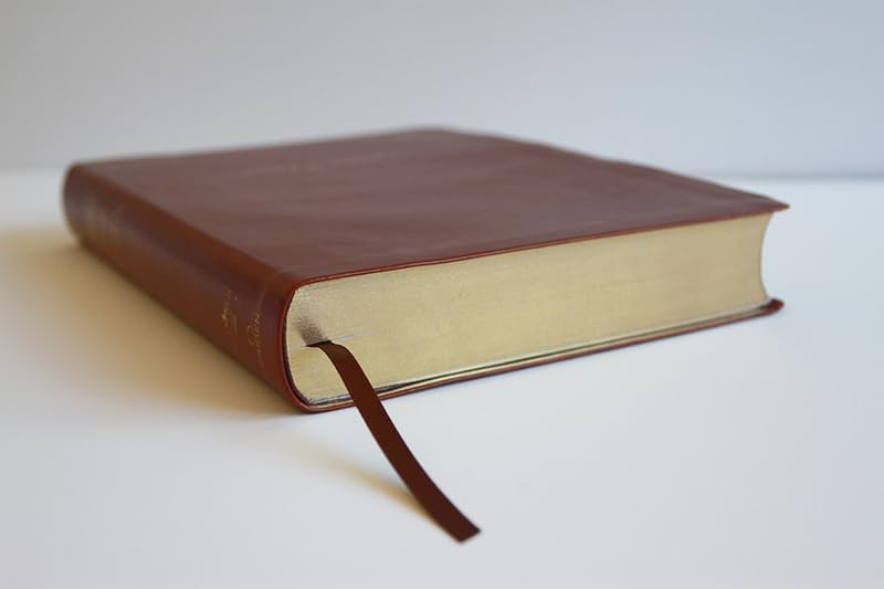 Biblia Reina Valera Revisada 1960 letra súper gigante, símil piel marrón / Spanish Bible RVR 1960 Super Giant Print, Brown Leathersoft (Spanish Edition) by Reina Valera Revisada 1960