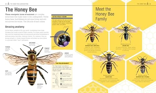 The Bee Book: Discover the Wonder of Bees and How to Protect Them for Generations to Come by DK