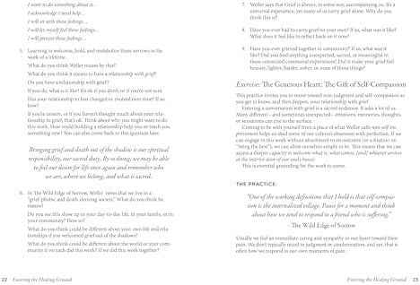 Entering the Healing Ground: The Wild Edge of Sorrow Official Workbook--Reflections, rituals, and meditations for grief and renewal by Francis Weller