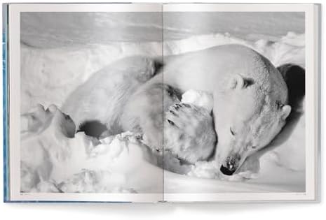 Born to Ice by Paul Nicklen