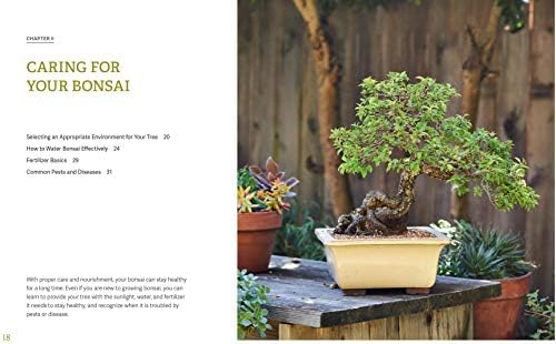 The Little Book of Bonsai: An Easy Guide to Caring for Your Bonsai Tree by Jonas Dupuich