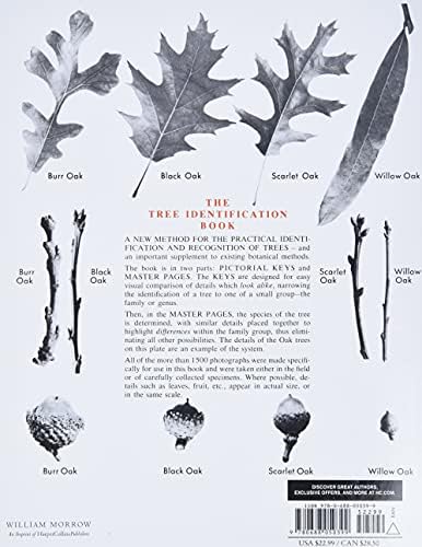 Tree Identification Book : A New Method for the Practical Identification and Recognition of Trees by George W. Symonds