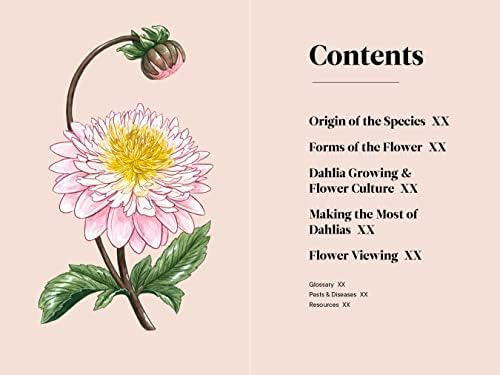 Dahlias: A Little Book of Flowers (Little Book of Natural Wonders) by Tara Austen Weaver