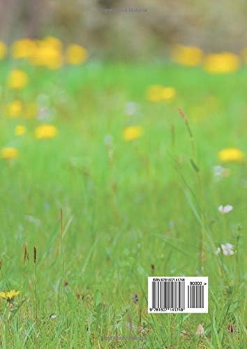 Cómo criar gallinas: la guía completa para cuidar desde pollitos hasta gallinas ponedoras (Spanish Edition) by Isaac Miller