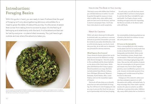 Midwest Foraging: 115 Wild and Flavorful Edibles from Burdock to Wild Peach (Regional Foraging Series) by Lisa M. Rose