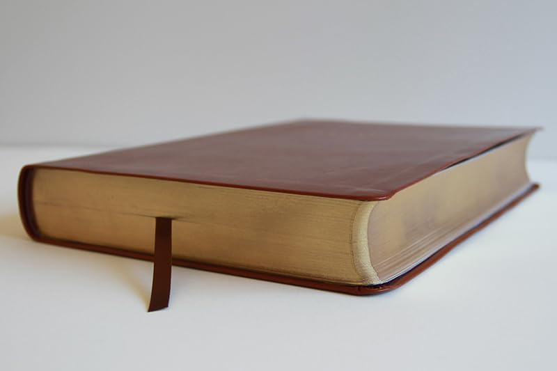 Biblia Reina Valera Revisada 1960 letra súper gigante, símil piel marrón / Spanish Bible RVR 1960 Super Giant Print, Brown Leathersoft (Spanish Edition) by Reina Valera Revisada 1960