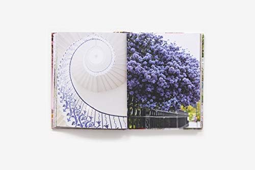 London in Bloom: Floral photography capturing London’s parks, window boxes, and secret blossom-filled corners. by Georgianna Lane