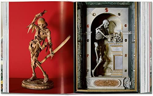Massimo Listri: Cabinet of Curiosities. 45th Ed. (45th Edition) (Multilingual Edition) by Giulia Carciotto