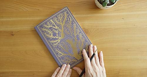 ESV Illuminated Scripture Journal: New Testament Set by ESV Bibles