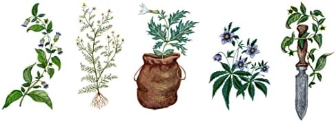 Wild Witchcraft: Folk Herbalism, Garden Magic, and Foraging for Spells, Rituals, and Remedies by Rebecca Beyer