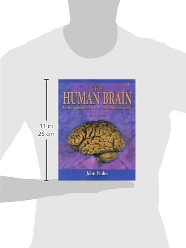 The Human Brain: An Introduction to Its Functional Anatomy by John Nolte PhD PhD