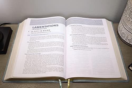 NIV, Student Bible, Leathersoft, Teal, Comfort Print by Zondervan
