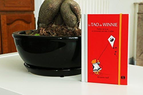 Le tao de Winnie: Profiter de la vie en retrouvant une âme d'enfant by Benjamin Hoff