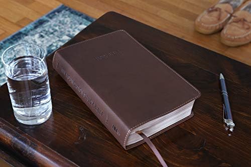 NIV, Foundation Study Bible, Leathersoft, Brown, Red Letter by Zondervan