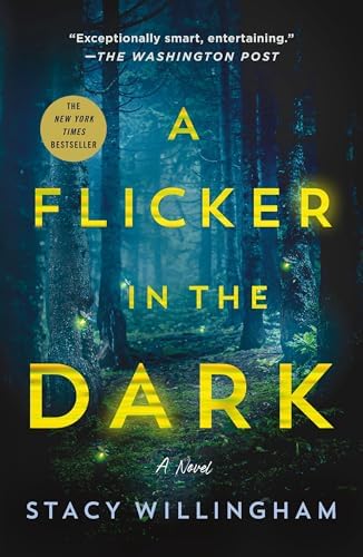 Flicker in the Dark by Stacy Willingham